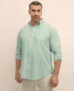 Big & Tall Friday Shirt, Poplin Bengal Stripe