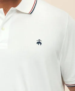 Big & Tall Golden Fleece® Supima® Tipped Polo Shirt
