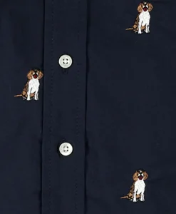 Boys Cotton Oxford Sport Shirt