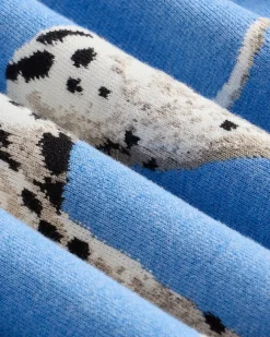 Cotton Dalmatian Sweater